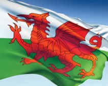 Welsh-flag-flying-high-300x239