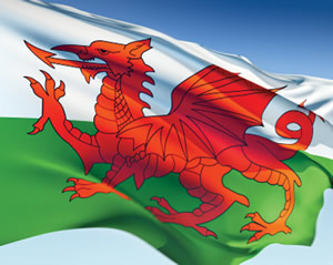 Welsh-flag-flying-high-300x239